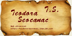 Teodora Seočanac vizit kartica